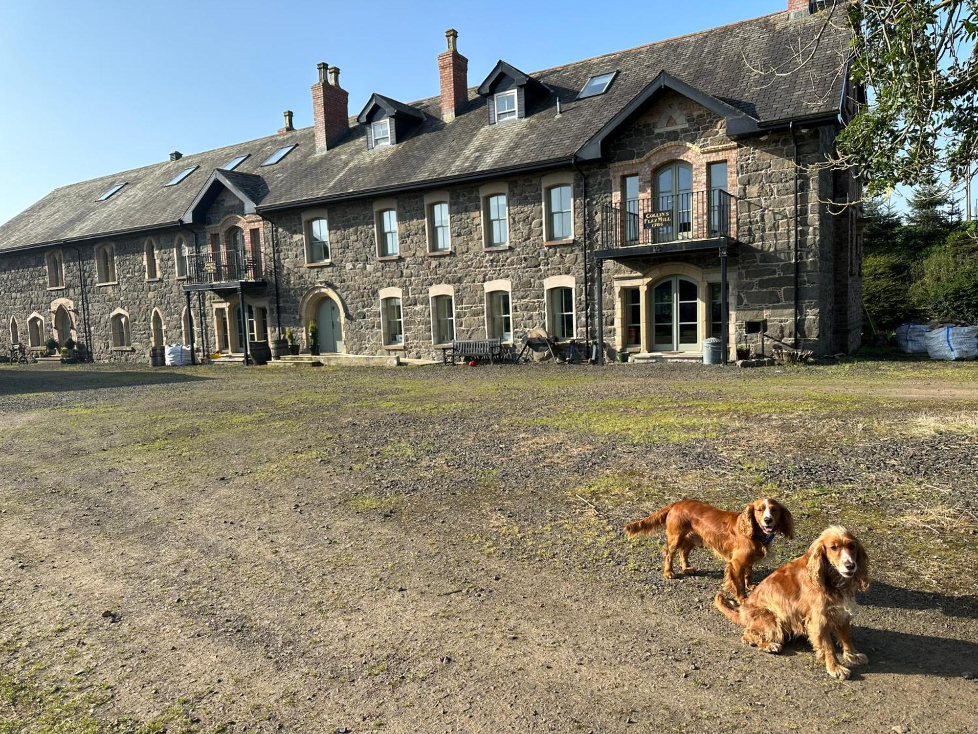 콜레인 The Old Flax Mill Yoga Retreat 빌라 외부 사진
